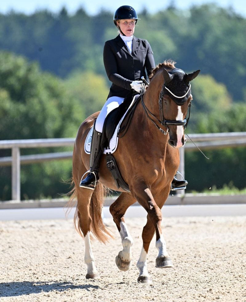 vanessa-faust-pferdetraining-2 Vanessa Faust - Pferdeausbildung und mobiler Reitunterricht